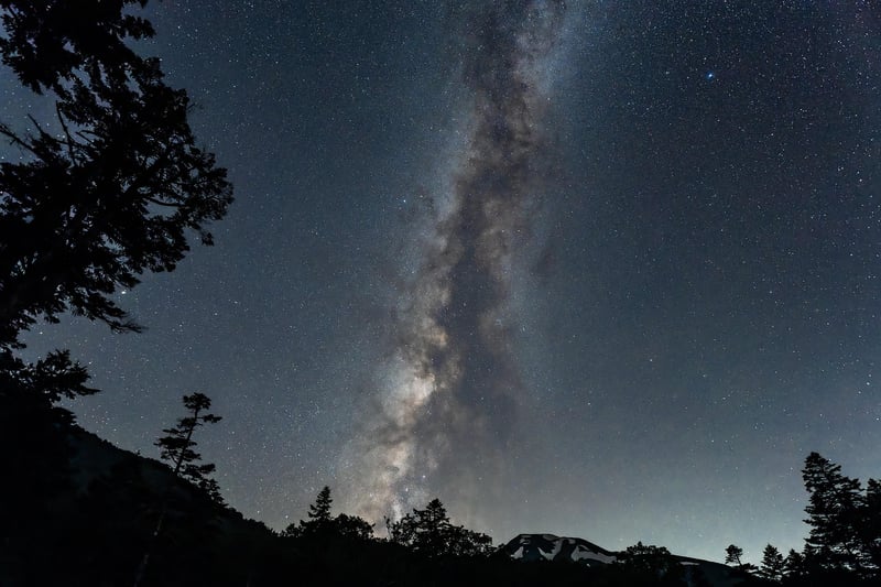 Garden at night under the Milky Way